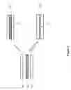 Fig. 04 - Flexible multilayer scattering substrate used in OLED