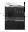 Fig. 05 - Flexible multilayer scattering substrate used in OLED
