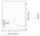 Fig. 07 - Flexible multilayer scattering substrate used in OLED