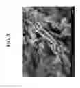 Fig. 04 - NEGATIVE ELECTRODE ACTIVE MATERIAL FOR LITHIUM ION SECONDARY BATTERIES, AND LITHIUM ION SECONDARY BATTERY