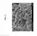 Fig. 06 - NEGATIVE ELECTRODE ACTIVE MATERIAL FOR LITHIUM ION SECONDARY BATTERIES, AND LITHIUM ION SECONDARY BATTERY