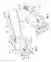 Fig. 04 - Apparatuses for manipulating a wire