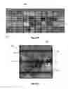 Fig. 08 - DETERMINING THE CONDITION OF PHOTOVOLTAIC MODULES