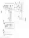 Fig. 10 - Electron device and wireless communication method in wireless communication system