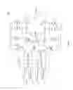 Fig. 04 - Signal processing in an optical receiver