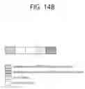 Fig. 19 - Method for transmitting and receiving data channel, and LC device