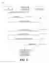 Fig. 07 - Systems and methods for using imaging to authenticate online users