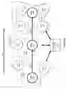 Fig. 07 - Device to device grouping of personal communication nodes