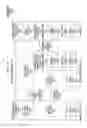 Fig. 04 - NETWORKED TRANSPORT LAYER SOCKET
