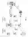 Fig. 03 - Mobility bonding network