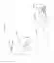 Fig. 429 - Information communication apparatus, method and recording medium using switchable normal mode and visible light communication mode