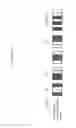 Fig. 495 - Information communication apparatus, method and recording medium using switchable normal mode and visible light communication mode