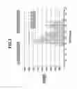 Fig. 04 - Image processing apparatus to determine whether there is fog or mist in a captured image