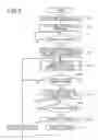 Fig. 09 - IMAGE PROCESSING DEVICE THAT CHANGES EXTENT OF IMAGE ALTERING BY FIRST AND SECOND IMAGE PROCESSING