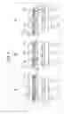 Fig. 07 - Solid-state imaging device and electronic apparatus