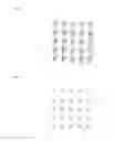 Fig. 07 - Image generation device and method for producing an array of image forming elements by superimposed pattern arrays