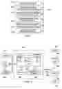 Fig. 05 - Transformation of dynamic metadata to support alternate tone rendering