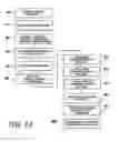 Fig. 13 - System, method and software for producing live video containing three-dimensional images that appear to project forward of or vertically above a display