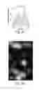 Fig. 07 - Sub-diffraction limit image resolution in three dimensions