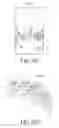 Fig. 15 - Electronic device and method for displaying image