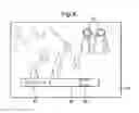 Fig. 08 - Video-on-demand system