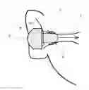 Fig. 01 - Earphone