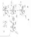 Fig. 05 - Automated determination of networks motifs