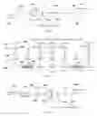 Fig. 06 - Codeword determination for acknowledgement information