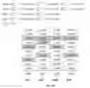 Fig. 16 - Codeword determination for acknowledgement information