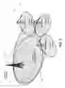 Fig. 03 - Methods and apparatus for flexible use of frequency bands