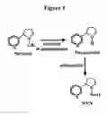 Fig. 02 - Alteration of tobacco alkaloid content through modification of specific cytochrome P450 genes