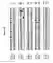Fig. 07 - Alteration of tobacco alkaloid content through modification of specific cytochrome P450 genes