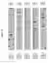 Fig. 09 - Alteration of tobacco alkaloid content through modification of specific cytochrome P450 genes