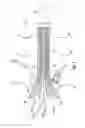 Fig. 02 - Sea lice fish pump