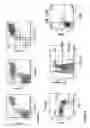 Fig. 02 - Transgenic Immunodeficient Mouse Expressing Human SIRP-alpha