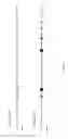 Fig. 02 - Genetically modified mouse whose genome comprises a humanized CD274 gene