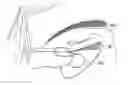 Fig. 01 - FALSE EYELASH APPARATUS AND METHODS