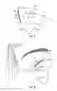 Fig. 08 - FALSE EYELASH APPARATUS AND METHODS