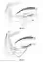 Fig. 09 - FALSE EYELASH APPARATUS AND METHODS