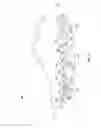 Fig. 04 - Articles of Footwear
