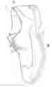 Fig. 02 - SUPPORT SYSTEM FOR FOOTWEAR
