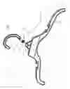 Fig. 02 - Plastic garment hanger with collapsible plastic hook