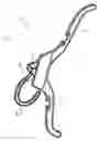 Fig. 07 - Plastic garment hanger with collapsible plastic hook