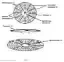 Fig. 02 - Fold- and Pour-over Device and Method for Straining