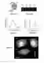 Fig. 07 - Performing a procedure based on monitored properties of biological tissues