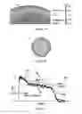 Fig. 08 - Performing a procedure based on monitored properties of biological tissues