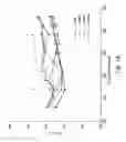 Fig. 02 - Method and apparatus for evaluating cardiac function