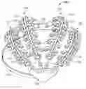 Fig. 01 - Systems and methods to gather and analyze electroencephalographic data