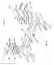 Fig. 33 - Systems and methods to gather and analyze electroencephalographic data