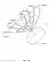 Fig. 41 - Systems and methods to gather and analyze electroencephalographic data